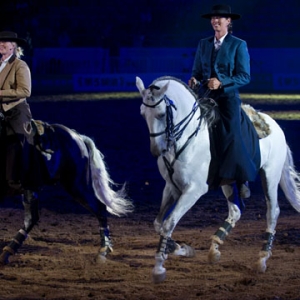 第二届鄂尔多斯达拉特国际马文化节康巴什开幕式上华丽的马术表演 ...