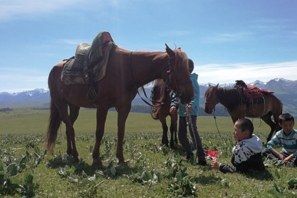 有个孩子住在我心中的草原