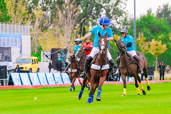 中国马球精英赛