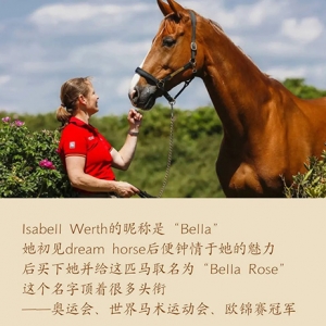 你的马儿值得拥有一个有趣的名字