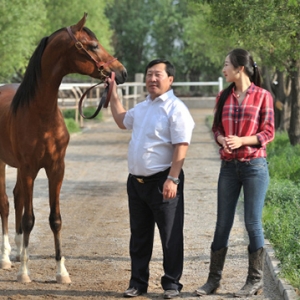 为女儿筑梦，打造马术生活的世外桃源