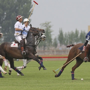 2013年第四届北京马球友谊赛