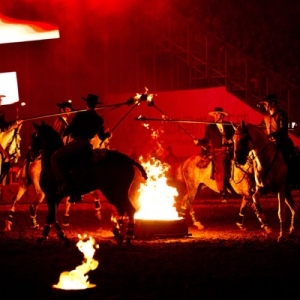 2012鄂尔多斯达拉特第二届国际马文化节-《马术》杂志专题报道 ... ... ...