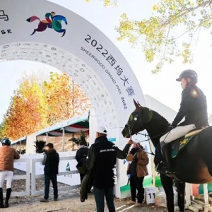 西坞奋蹄，中国年青马大赛助力运动马繁育调教体系升级