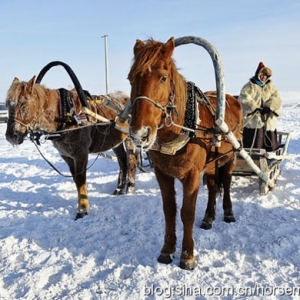 鄂温克：冰雪世界的马背情怀