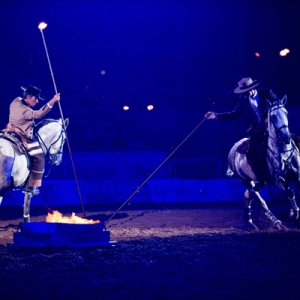 鄂尔多斯达拉特第二届国际马文化节上的精彩表演