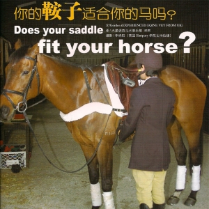 你的鞍子适合你的马吗？
