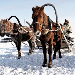 鄂温克：冰雪世界的马背情怀