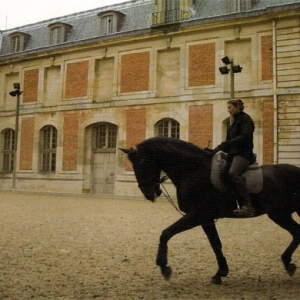 凡尔赛宫的皇家马厩