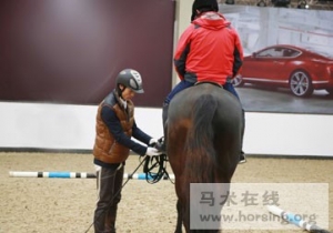 浅谈马术俱乐部教学：俱乐部教练与教学马使用的关系