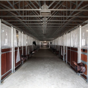 马术俱乐部设计与建设系列之四：马房室内馆建筑风格