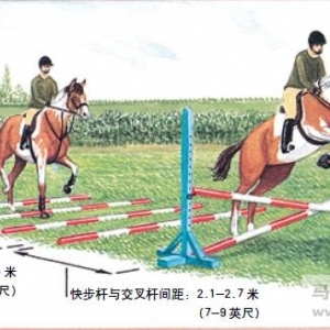 地杆与跳越复合障碍二
