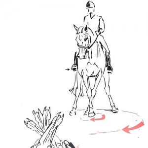 教马匹如何用前肢转向