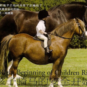 孩子骑马的安全开始