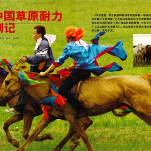2006中国草原耐力赛马侧记