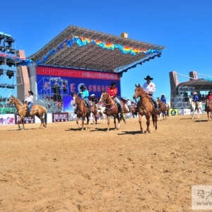 西乌旗“白马节”暨“谁去世界杯”绕桶选拔赛 精彩图片