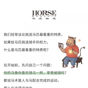 如果马能挑选骑手，TA会不会选择你？