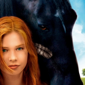 《骏马奥斯温 2》：从马的角度去理解马