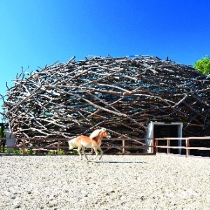 鹳鸟巢农场——自然与现代感的 灵性之作