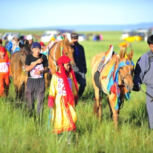 阿布嘎黑马新传奇-2010西乌传统草原大赛马拍摄纪实