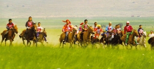 2008中国草原大赛马启示