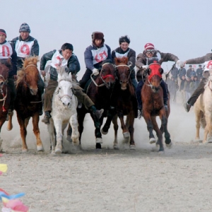 近百匹名贵赛马亮相新疆首届博斯腾杯赛马大会