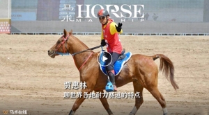 世界各地的耐力赛道有什么不同？听听耐力老将怎么说