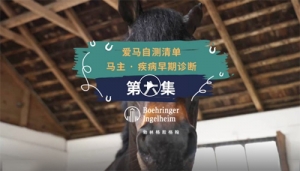 一眼看穿你的不适
