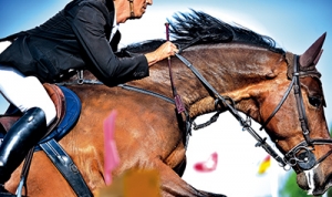菲利普课堂：骑手应当全方面管理自己的马