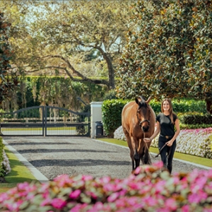 Jessica Springsteen：小心马背上那些女骑手！