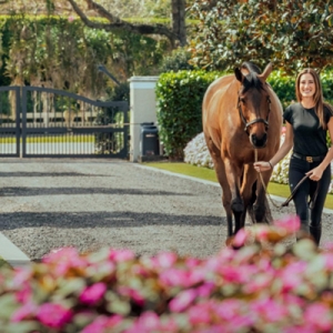 Jessica Springsteen：小心马背上那些女骑手！