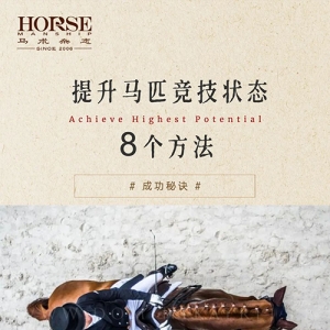 8个方法，提升马匹竞技状态