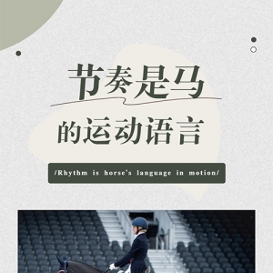 节奏是马的运动语言