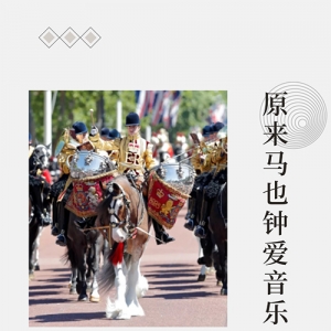 原来马也钟爱音乐？这种马的缰绳在骑手的脚上