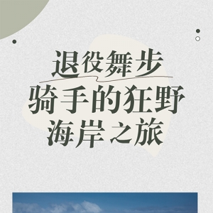退役舞步骑手的狂野海岸之旅：骑马探寻沉船遗珠、偶遇座头鲸 ...
