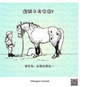 马术人的每日一句：我们今天能不这样了吗