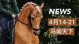 马闻天下 | 保罗·埃斯特处禁赛7年；饶嘉怡再获冠军；埃克曼转战墨西哥城站 ...