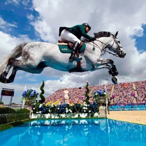 什么成就了一个真正的马术骑手？