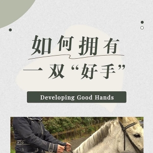 致骑手：如何拥有一双“好手”