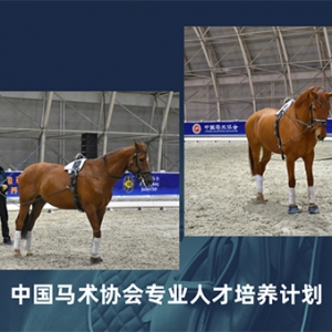 “调教索（双边）训练”专项技能培训首次开课报名中