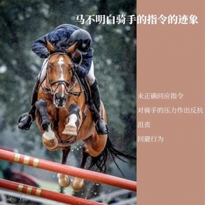 这些迹象表明马不明白骑手的指令