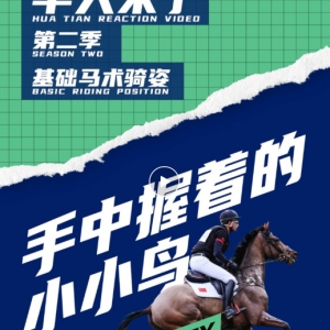 正确握缰！为什么拇指指背一定要冲上呢？