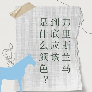 弗里斯兰马到底应该是什么颜色？