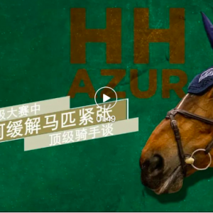 大赛中顶级骑手如何缓解马匹的紧张状态？