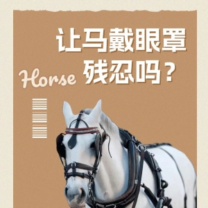 让马戴眼罩，残忍吗？