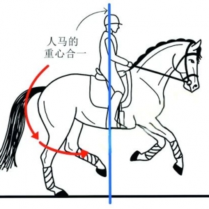 舞步中如何使用你的骑坐辅助