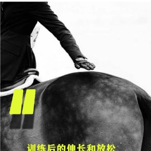 年轻骑手应该把钱花在提升自己上，而不是一味购买好马