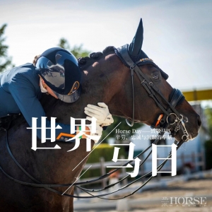 致敬马匹对人类的信任和付出，世界马日特辑