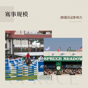 是老将延续霸主地位，还是新星闪耀舞台？