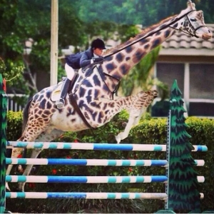 马 术 梗 图 | “天气转凉了，别忘了把你的宠物带进室内”
